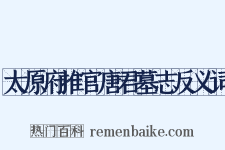 太原府推官唐君墓志反义词是什么意思的图片